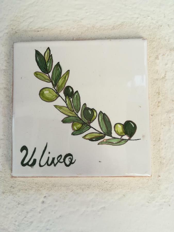 콰르투 산텔레나 Ulivo 아파트 외부 사진