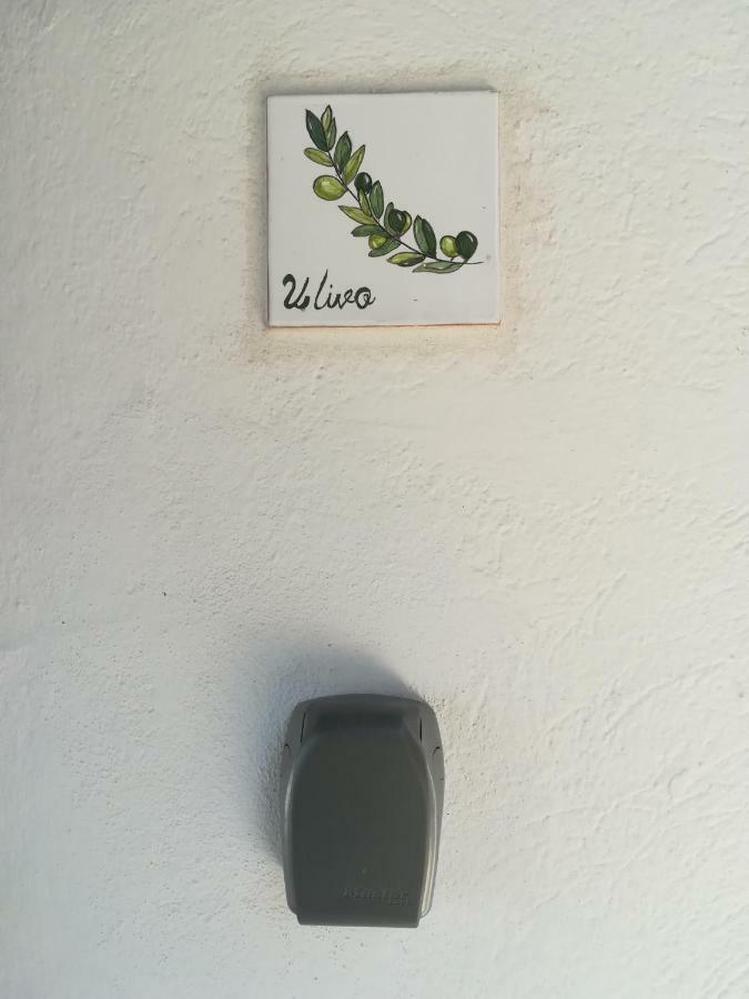 콰르투 산텔레나 Ulivo 아파트 외부 사진